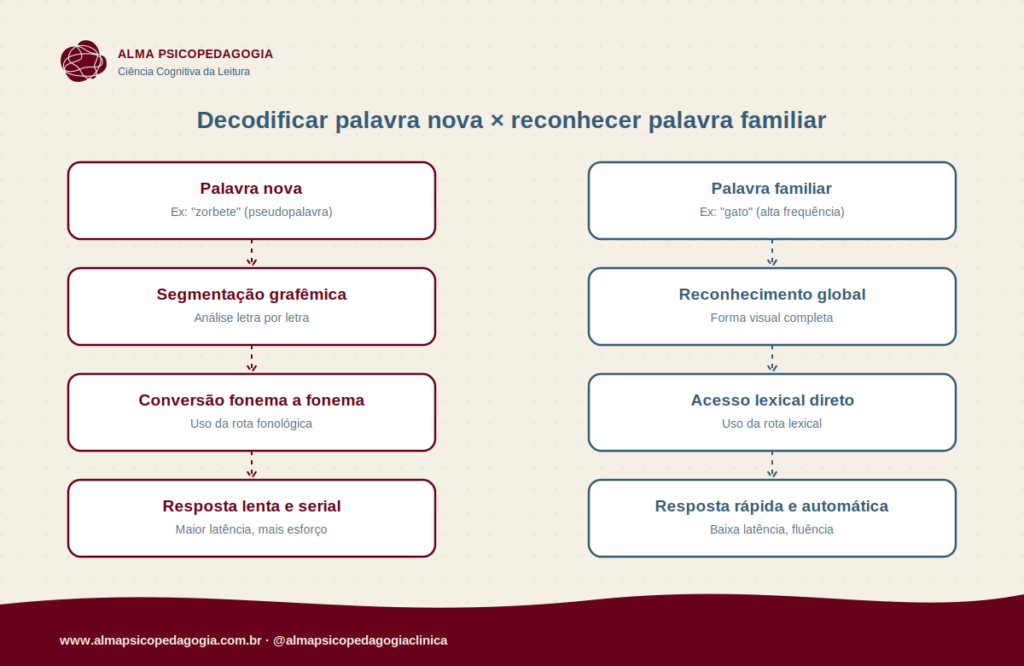Decodificar palavra nova x reconhecer palavra familiar