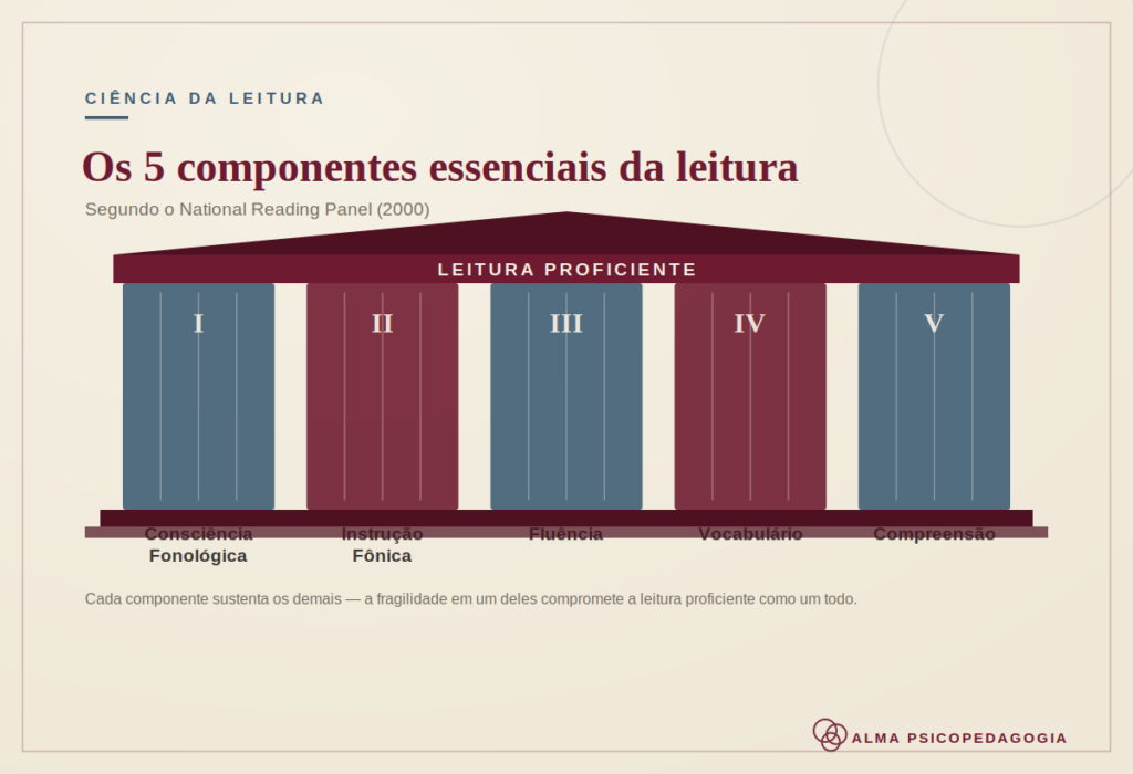 os 5 componentes essenciais da leitura para uma alfabetização baseada em evidências